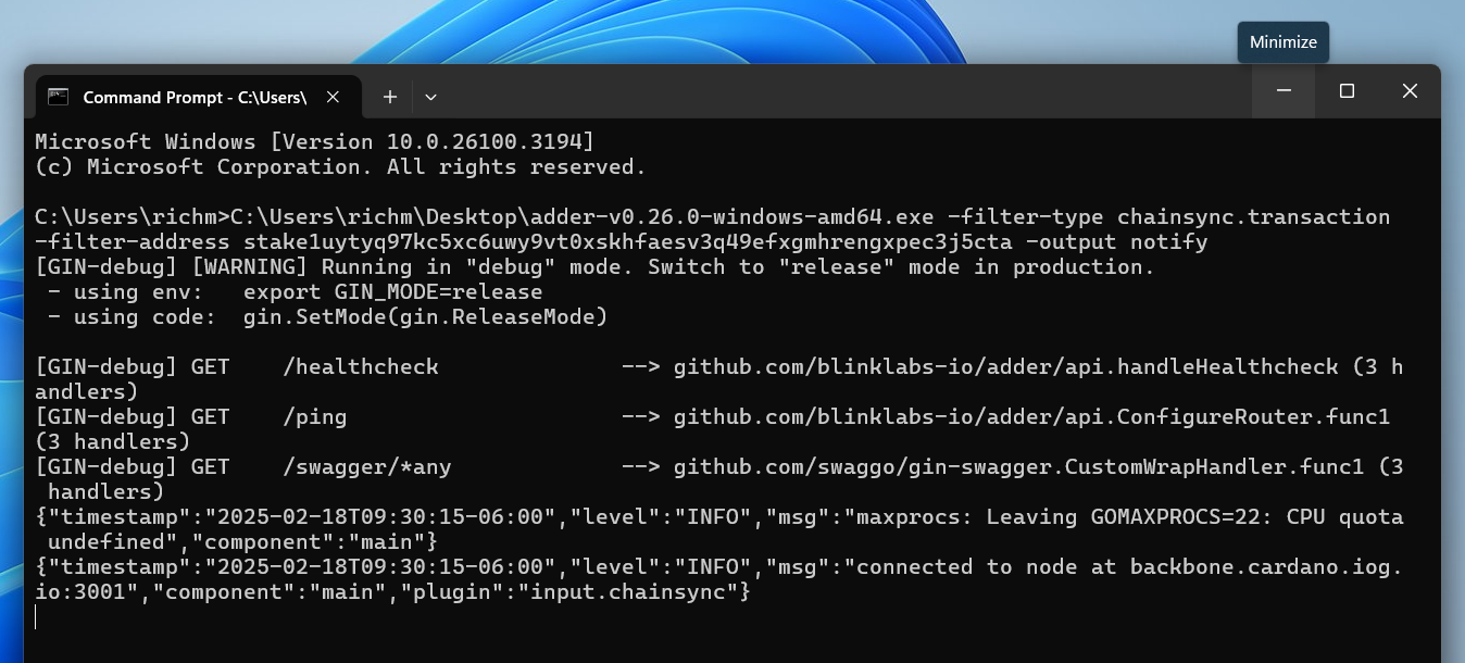 adder-minimize-final-ex-1-command