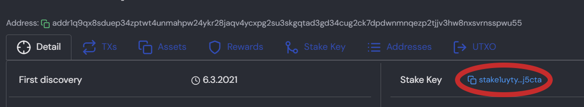 adder-staking-address