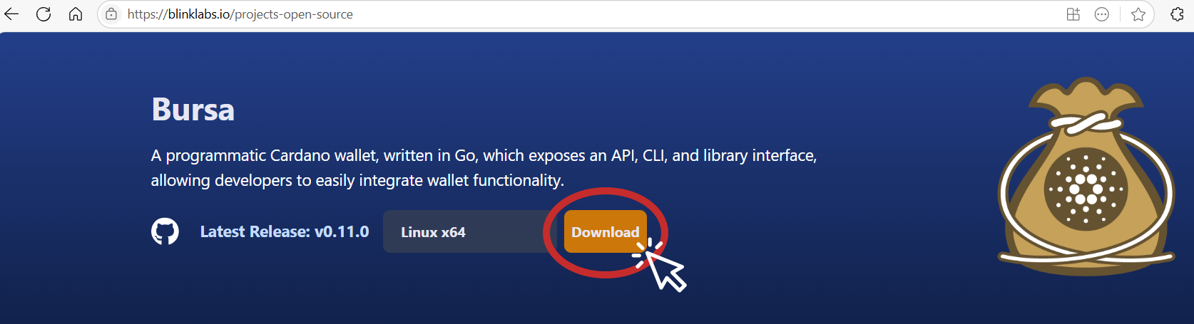 bursa-blinklabs-site-download