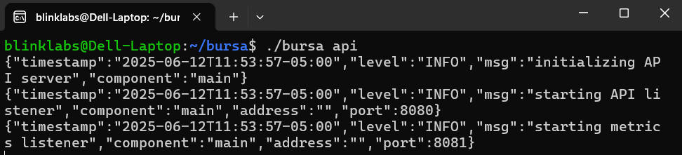 bursa-start-api