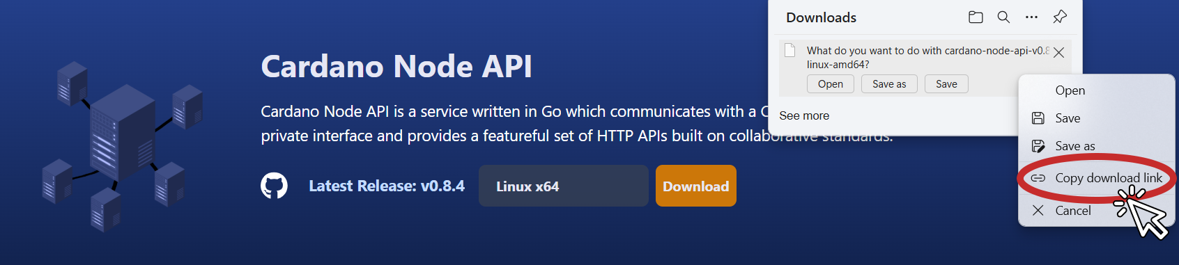 cardano-node-api-blinklabs-site-copy-link