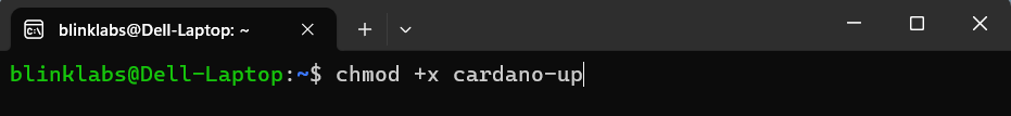 cardano-up-change-permissions