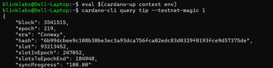 cardano-up-eval-env-plus-tip