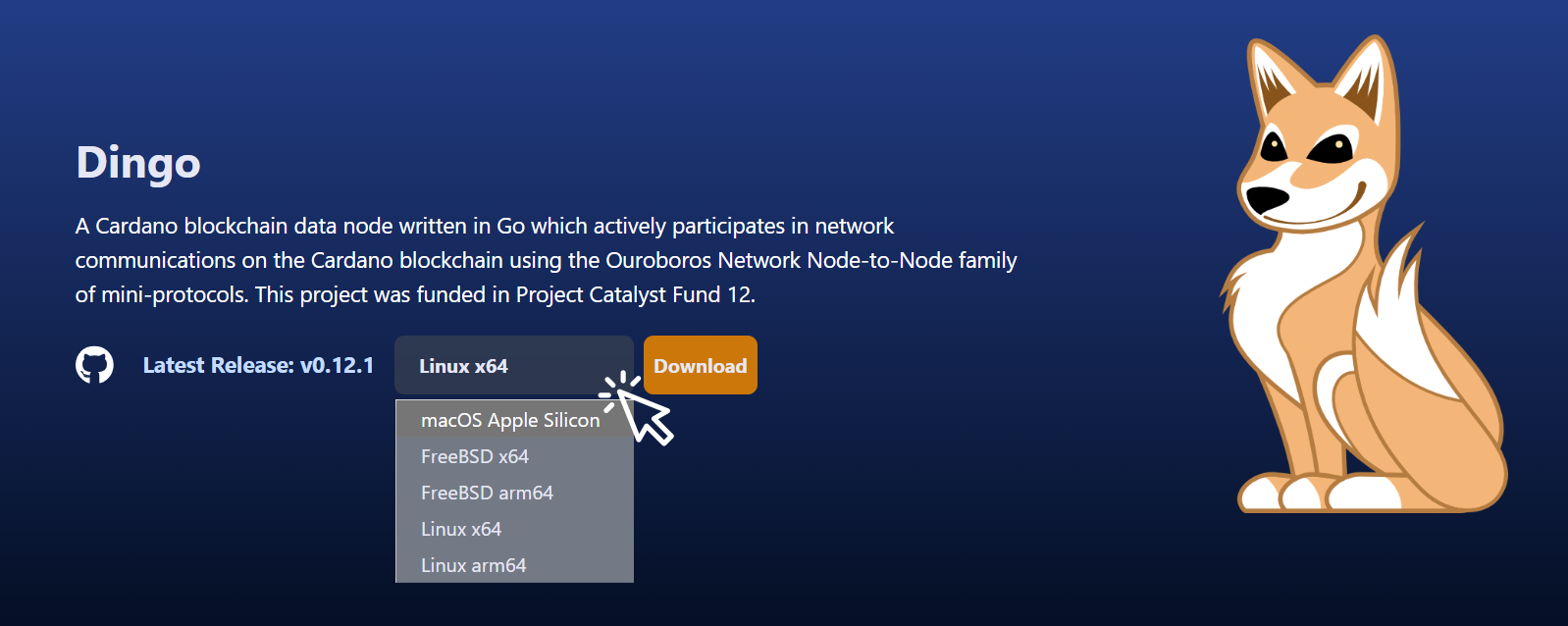 dingo-blinklabs-site-operating-system