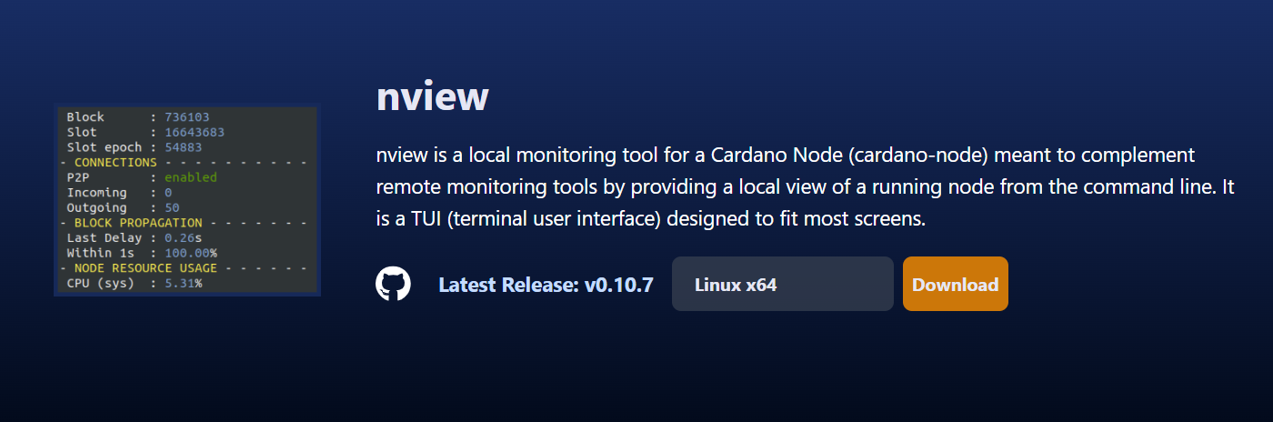nview-blinklabs-site