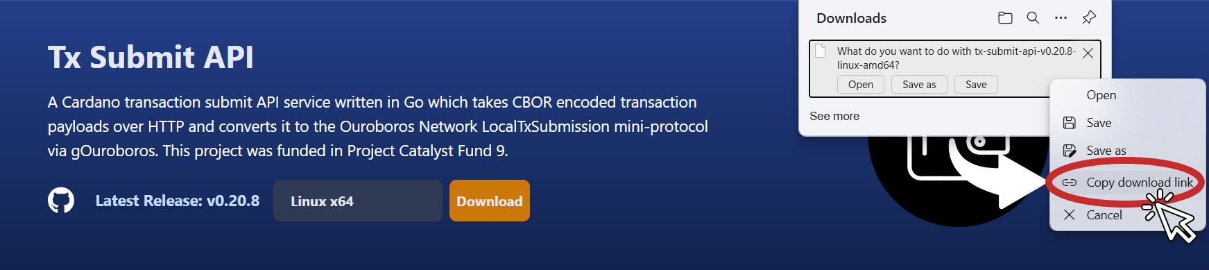 txsubmit-blinklabs-site-copy-link